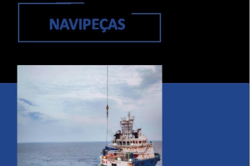 Documento: [RELATÓRIO SETORIAL - NAVIPEÇAS MPEs]