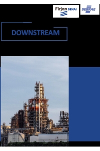 RELATÓRIO SETORIAL - DOWNSTREAM MPEs